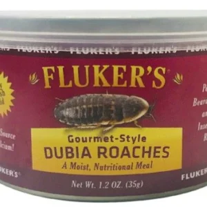 Fluker's Gourmet Style Dubia Roaches